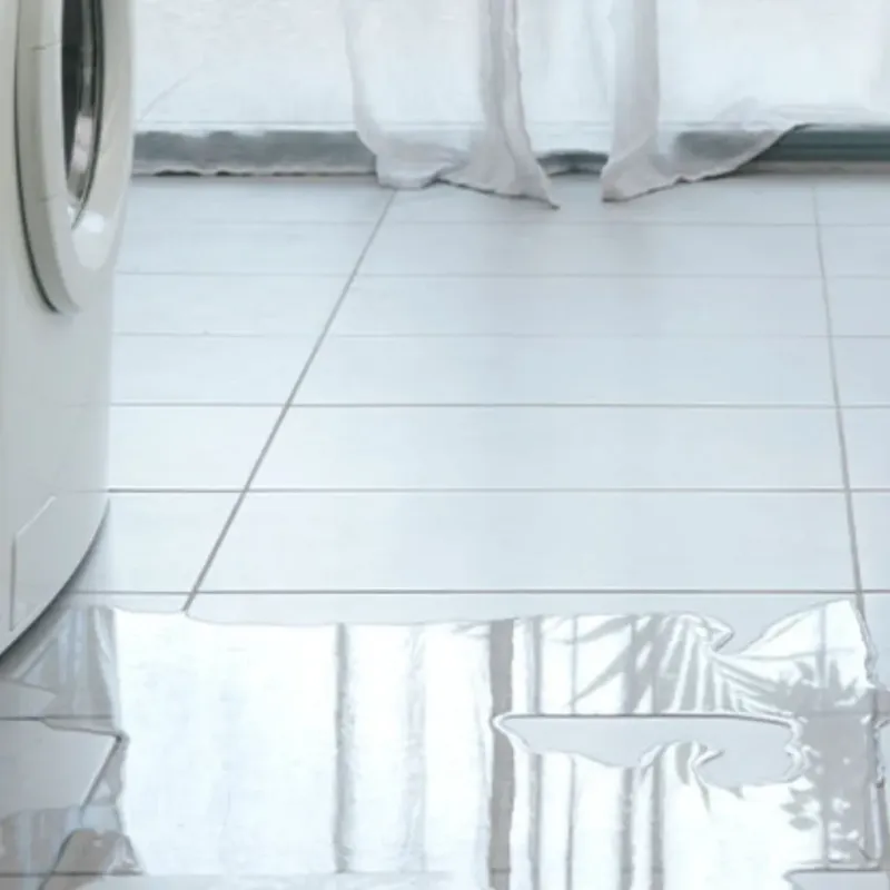 Appliance Leak Cleanup in Flint City, AL
