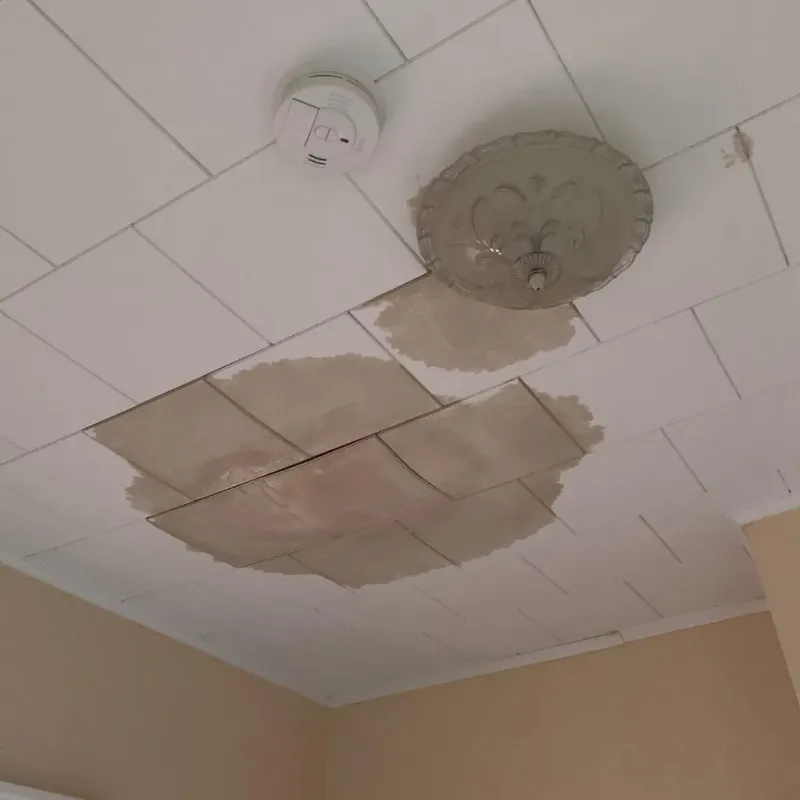 Ceiling Water Damage Repair in Flint City, AL