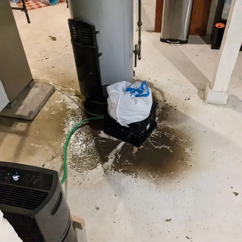 Sewage Backup Cleanup Service in Flint City, AL